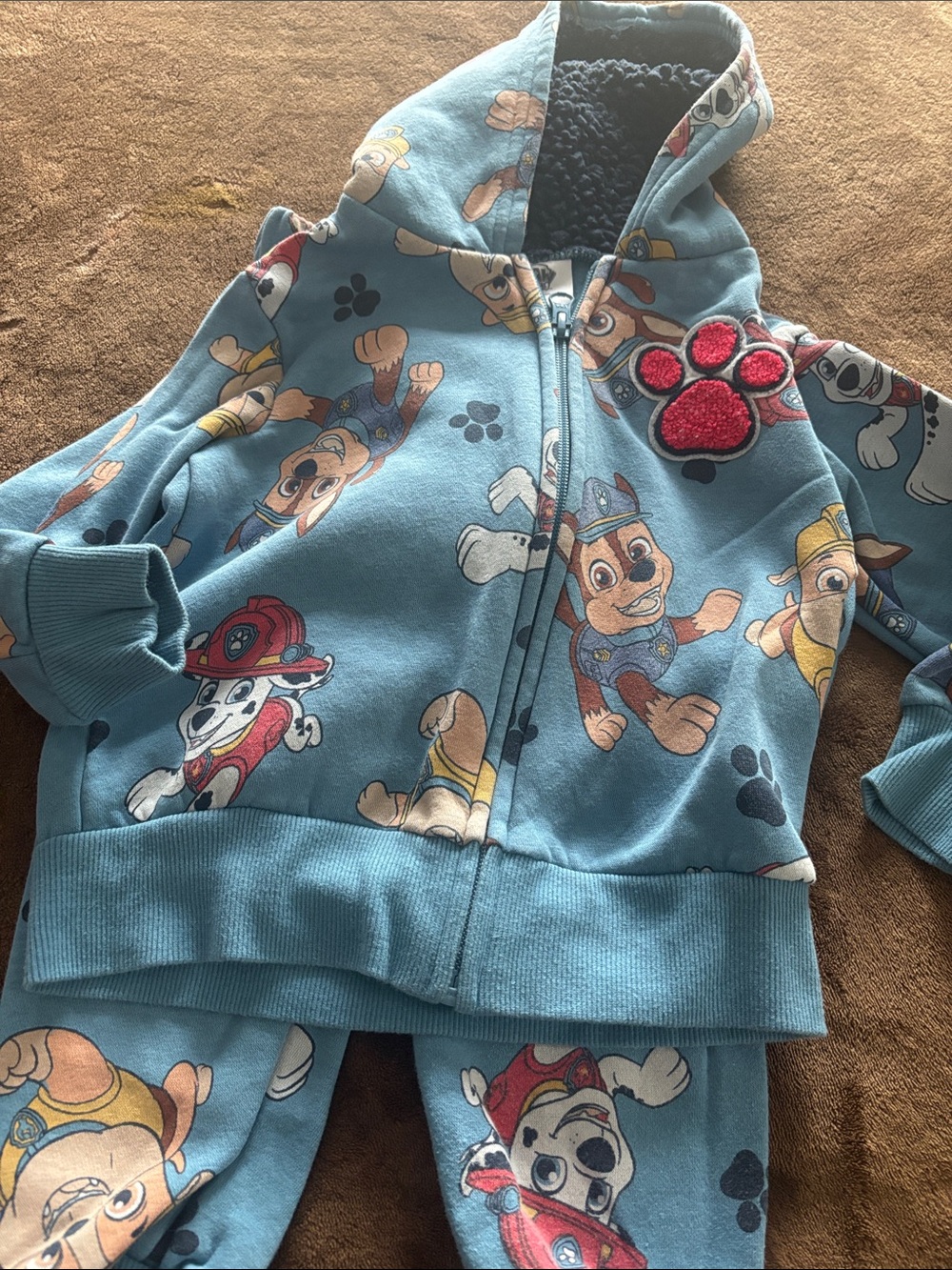Paw Patrol Light Blue Kids Zip Hoodie with Character Print